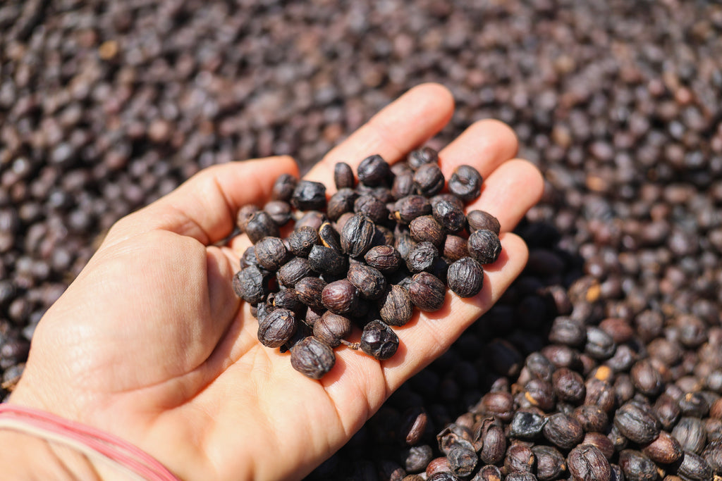 Roaster's Reserve Ethiopia