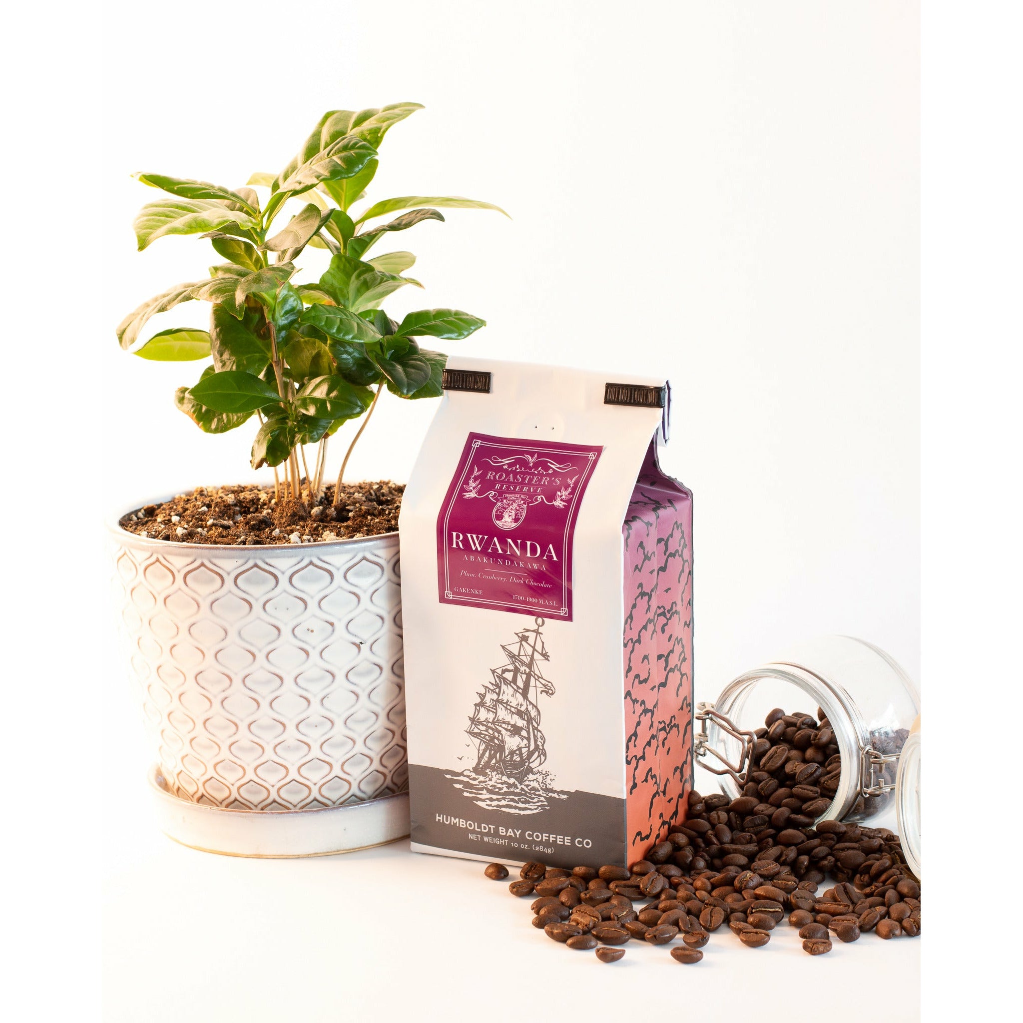 Roaster's Reserve single origin Rwanda coffee