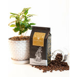 Load image into Gallery viewer, Roaster&#39;s Reserve Panama Gesha - Humboldt Bay Coffee Co.
